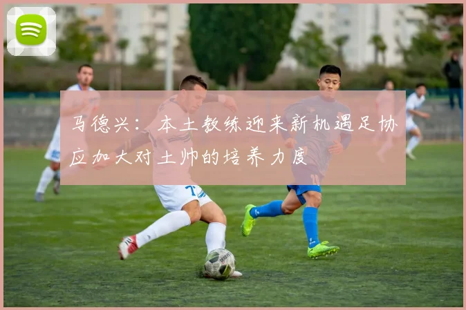 马德兴：本土教练迎来新机遇足协应加大对土帅的培养力度
