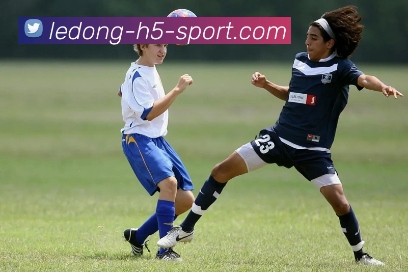 乐动体育发展历程