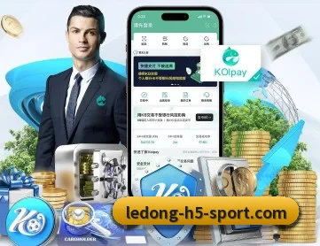 乐动体育 APP 深度功能 - LDSPORTS